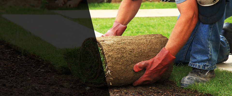 Vernon Landscapers